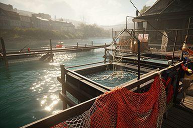Fish Tycoon screenshot featuring a lively hatchery dock with tanks, nets and river signage